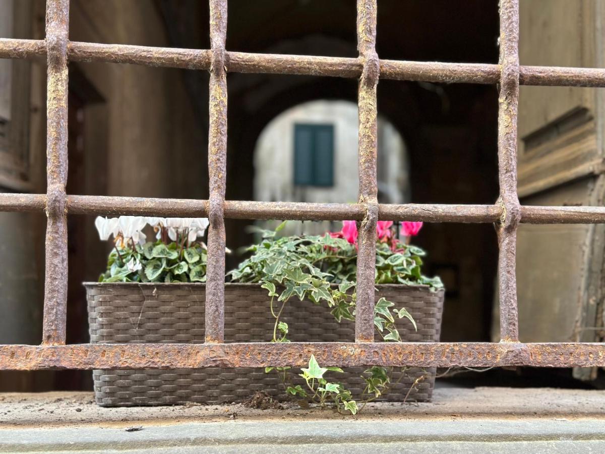 In Centro Lovely Home لوكا المظهر الخارجي الصورة